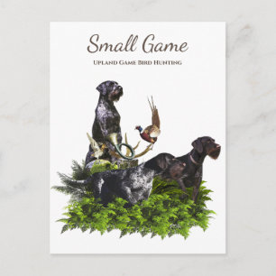 Bird dog , Upland Game Bird Hunting Postcard