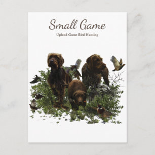 Bird dog , Upland Game Bird Hunting Postcard