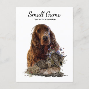 Bird dog , woodcock hunting postcard