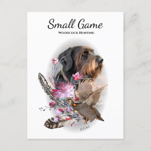 Bird dog , woodcock hunting postcard