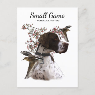 Bird dog , woodcock hunting postcard