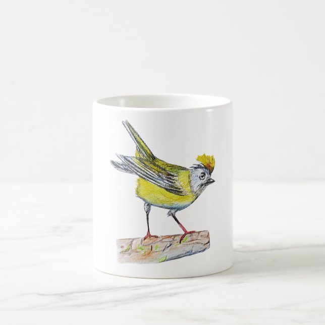 Bird Drawing Classic White Mug (Center)