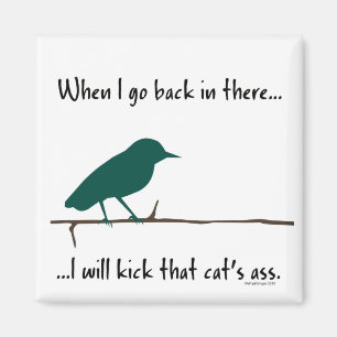 Bird dreams magnet