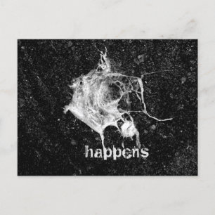 Bird Droppings  Postcard