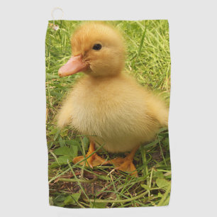bird, duck, duckling, yellow, nature, cute, baby, golf towel