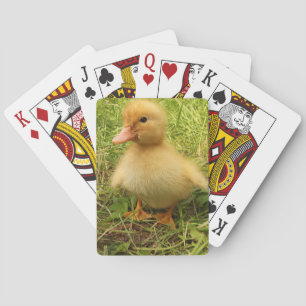 bird, duck, duckling, yellow, nature, cute, baby, playing cards