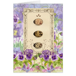 Bird Egg Purple Pansy Botanical Flower Art Card