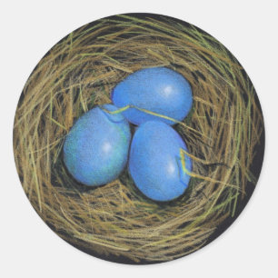 BIRD EGGS IN NEST: REALISM ART: STICKERS