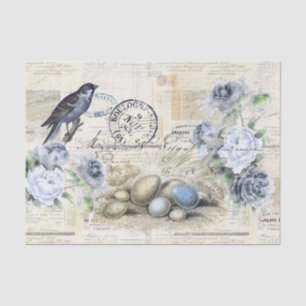 Bird Eggs Vintage Floral French Text Tissue Paper