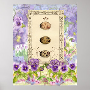 Bird Eggs Watercolor Flower Pansies Collage Art Poster