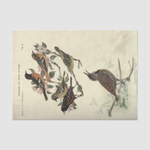 Bird Ephemera Decoupage Floral Flowers Tissue Paper