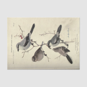 Bird Ephemera Decoupage Grey Black New York Tissue Paper