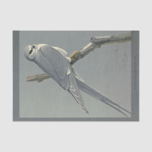 Bird Ephemera Decoupage Grey Hawk Tissue Paper