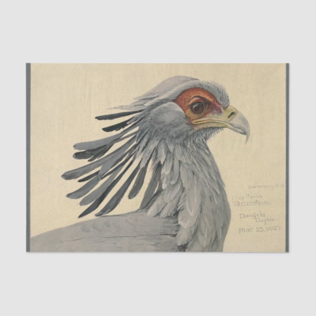 Bird Ephemera Decoupage Grey Tissue Paper (Front)