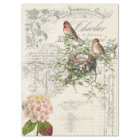 Bird Ephemera Decoupage Paper