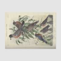 Bird Ephemera Decoupage Robbin