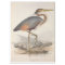 Bird Ephemera Decoupage Vintage Heron Nautical