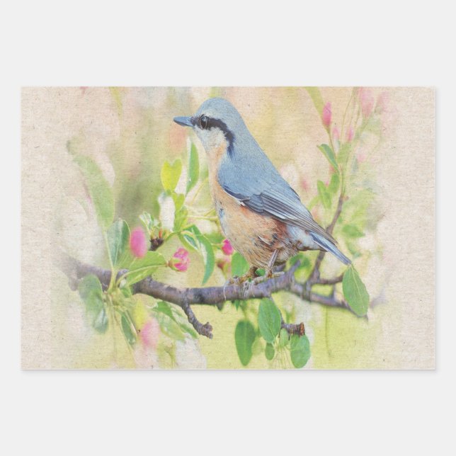 Bird Fanatic Wrapping Paper Sheet (Front)