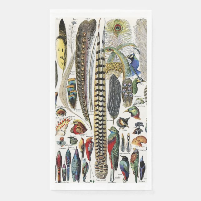 Bird Feather Wildlife Antique Feathers Art Nouveau Napkin (Front)
