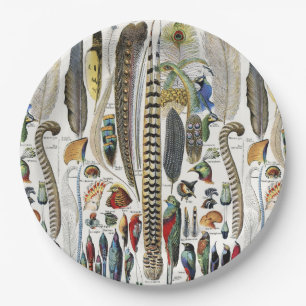 Bird Feather Wildlife Antique Feathers Art Nouveau Paper Plate