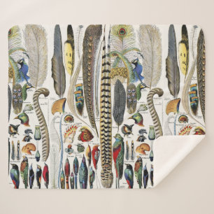 Bird Feather Wildlife Antique Feathers Art Nouveau Sherpa Blanket