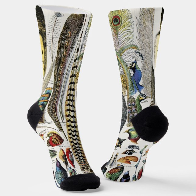 Bird Feather Wildlife Antique Feathers Art Nouveau Socks (Angled)