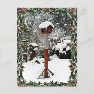 BIRD FEEDERS & SNOW by SHARON SHARPE Postcard
