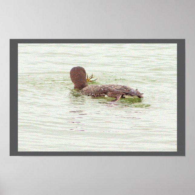 Bird Fishing in Ocean Poster (Front)