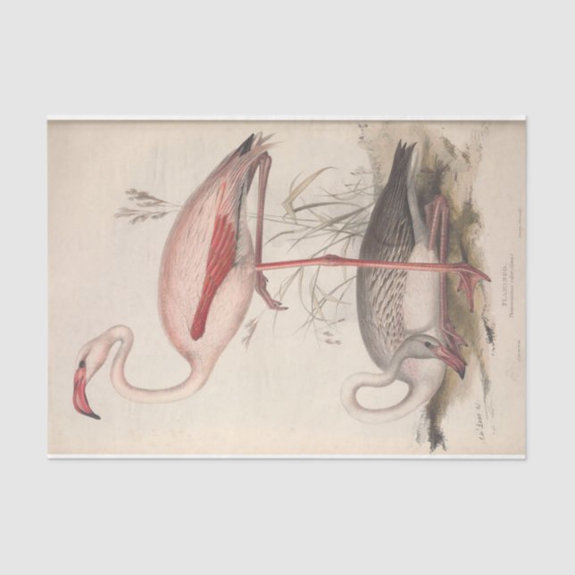 Bird Flamingo Ephemera Decoupage Tissue Paper (Front)