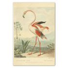 Bird Flamingo Ephemera Decoupage