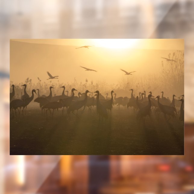 Bird Flock of Cranes at Lake Agamon HaHula, Israel Window Cling (Sheet 2)