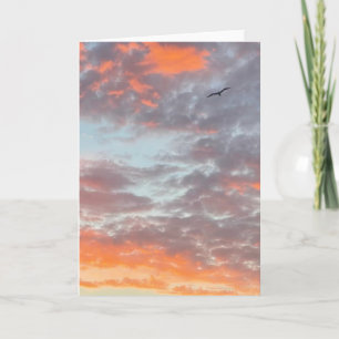 Bird Flying Pink CLouds Sky Photo Card