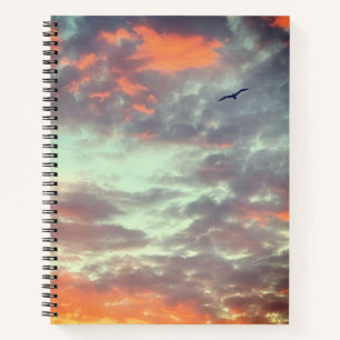 Bird Flying Pink Clouds Sky Photo Notebook