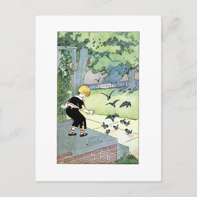Bird friends postcard (Front)