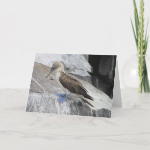 Bird Greeting Card