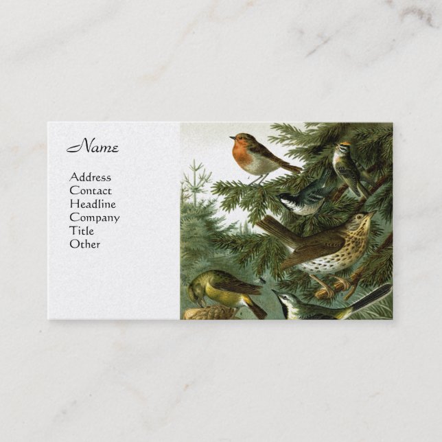 Bird Group 3 Business Card (Front)