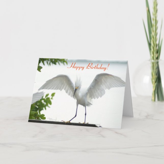 Bird Happy Birthday Sister Greeting Card (Front)