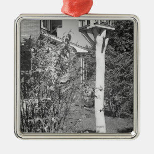 Bird house in garden metal tree decoration
