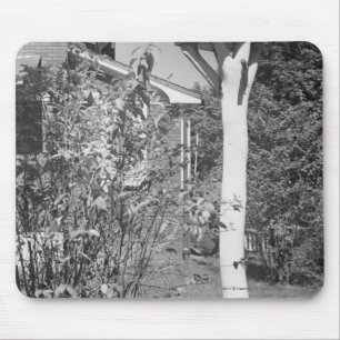 Bird house in garden mouse mat