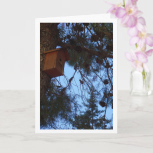 Bird House in Pine Tree Portrait Card