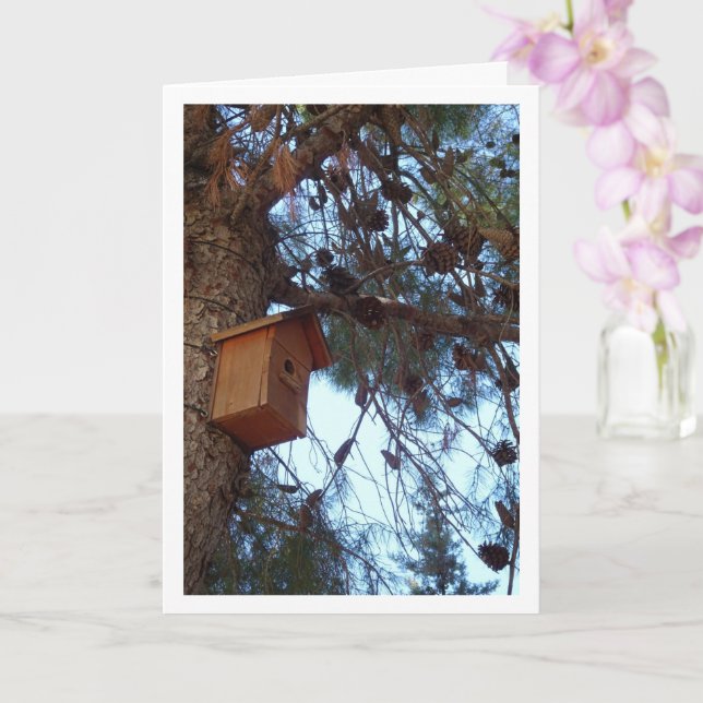 Bird House in Pine Tree Portrait Card (Orchid)