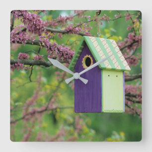Bird House On A Redbud Tree Square Wall Clock