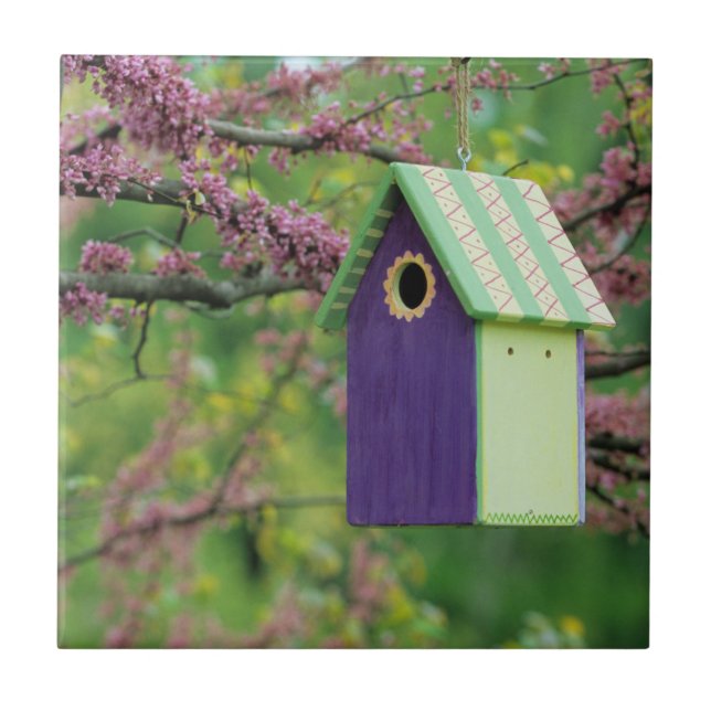 Bird House On A Redbud Tree Tile (Front)