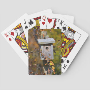 Bird House Playing Card