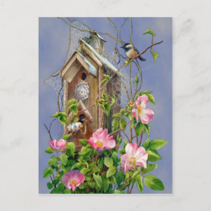 Bird House Postcard