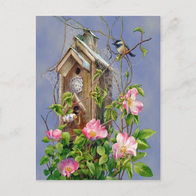 Bird House Postcard (Front)