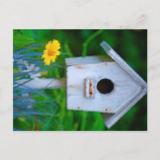 Bird House Postcard