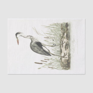 Bird Illustration Common Heron Tissue Paper