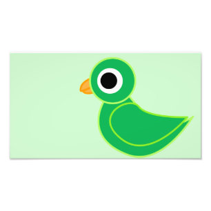 Bird Illustration Photo Print