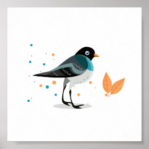 Bird illustration poster